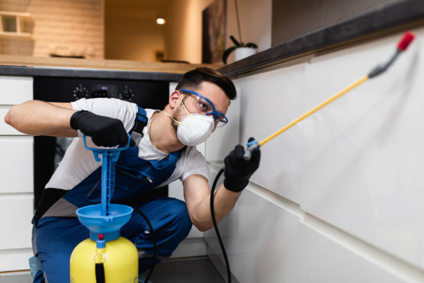 Best Affordable Pest Control Services  in Hiram, OH