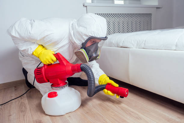 Best Bed Bug Extermination  in Hiram, OH