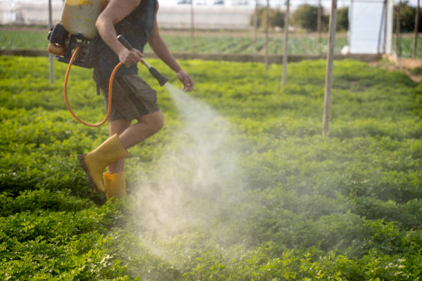Pest Control for Restaurants in Hiram, OH