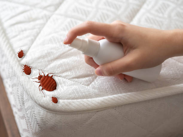 Best Pest Removal Services  in Hiram, OH