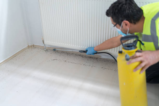 Best Wasp Removal Services  in Hiram, OH